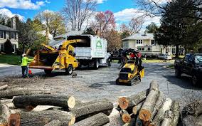 How Our Tree Care Process Works  in  Fairmount, TN