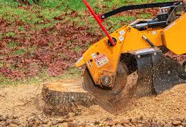 Best Tree Disease Treatment  in Fairmount, TN